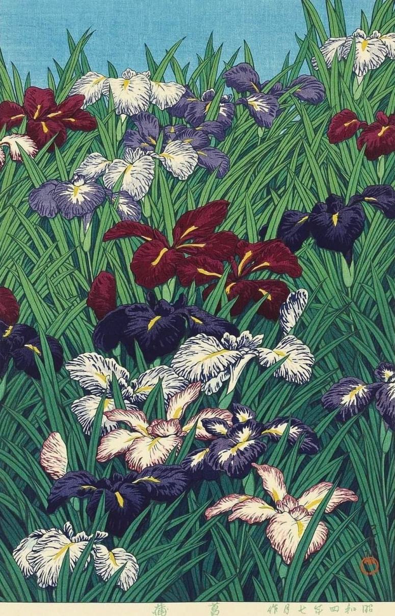 Fleurs d'Iris (1929) by Kawase Hasui (1883-1957)
