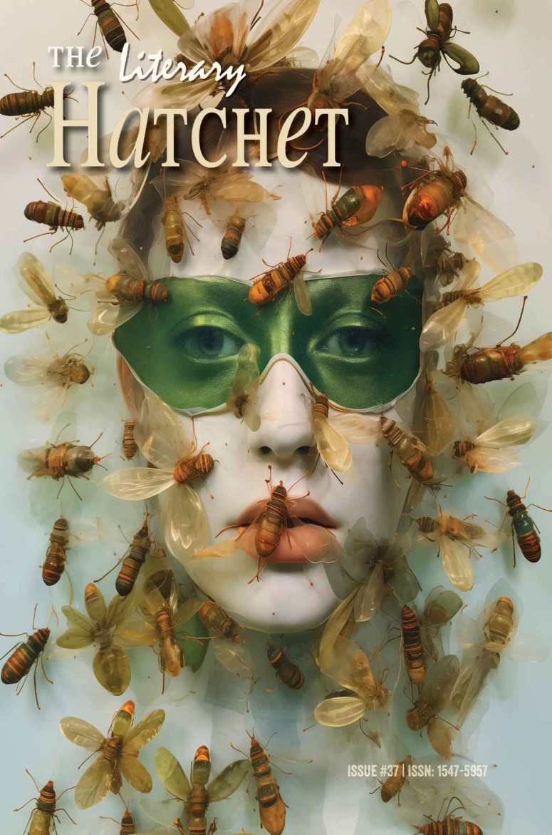 The Literary Hatchet cover, Issue 37